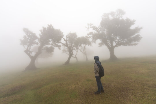 Traveler with backpack in misty Fanal forest Madeira