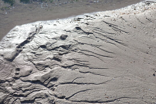 Traces on sand.
