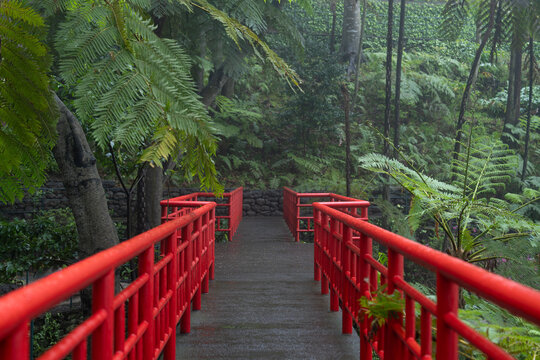 Red bridge in tropical forest garden on Madeira