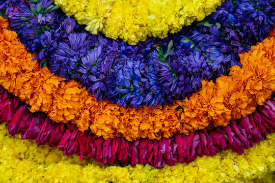 Colorful flower garlands arranged in rows