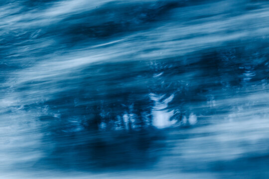 Abstract blurred trees in blue winter motion
