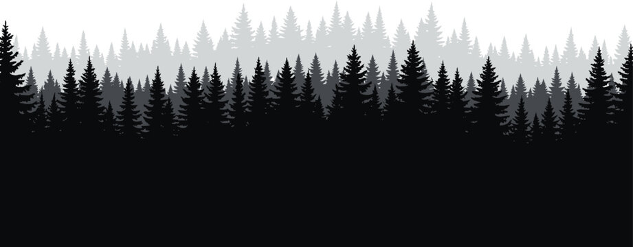 Silhouette of a coniferous pine forest with layered evergreen trees in monochrome black and white for nature background vector illustration