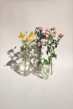Sunlit Floral Still Life