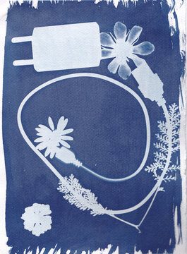 Cyanotype blending technology and nature elements
