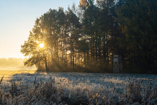 Frosty Meadow at Sunrise