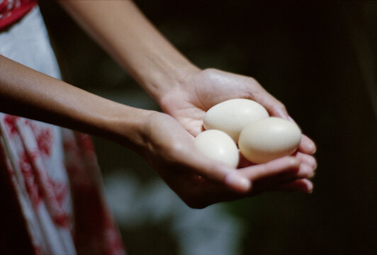 Hands Holding Three Eggs