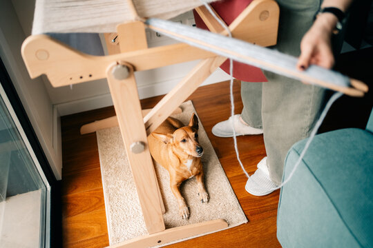 Dog Resting While Owner Works on Weaving in Living Room