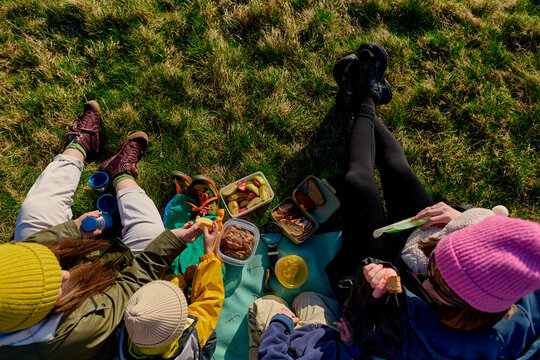 Family picnic from above on grassy meadow