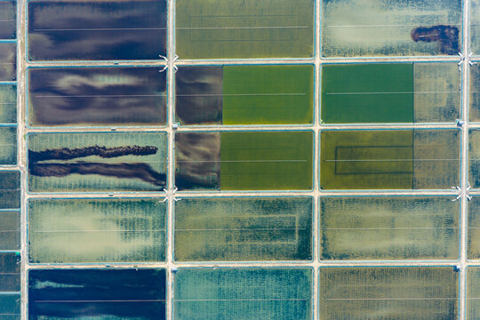 rectangular aquaculture fish ponds 
