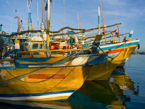 Fishing Fleet Boats Docked at Mirissa Harbor Sri Lanka 