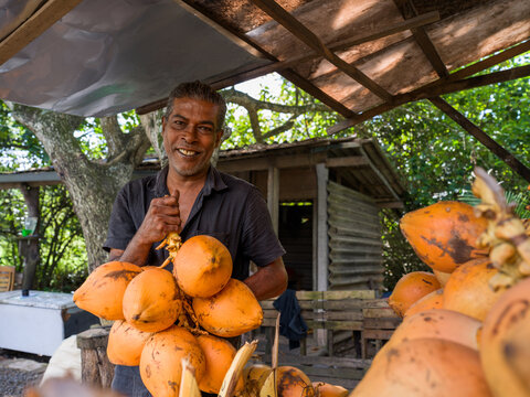 Smiling Vendor Stands Behind Sri Lankan King Coconuts