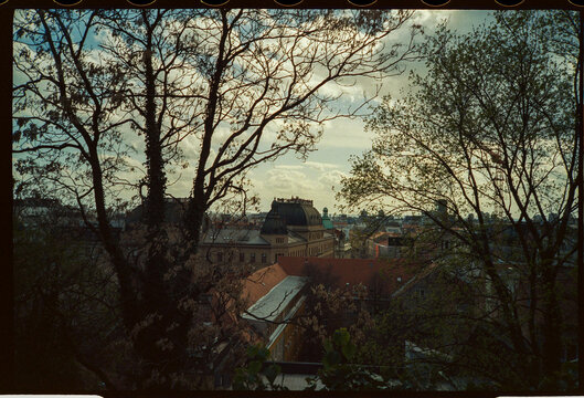 Historic rooftops framed by trees