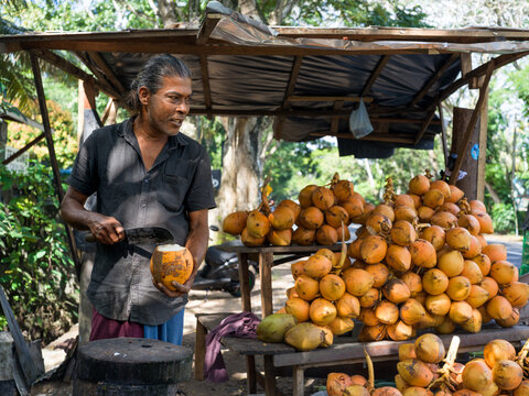 Vendor Cuts Kings Coconuts for Sale at Market