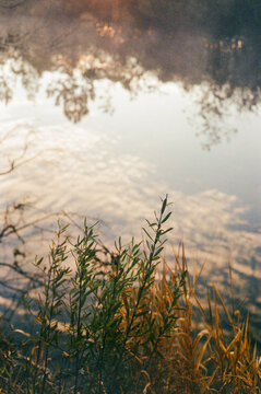Okefenokee Swamp