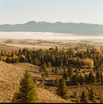 Eastern Sierra