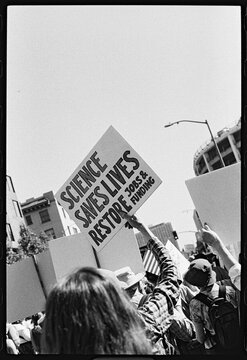 No Kings Protest