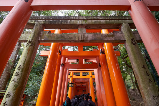 Visitors Walk Through Red Torii Gates Fushimi Unari Shrine in Japan