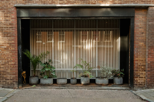 Urban storefront window with potted plants and brick wall