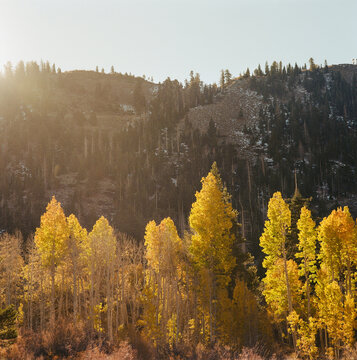 Eastern Sierra