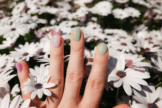 Colorful Nails with flowers. Manicure. Spring 