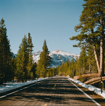 Sonora Pass Highway
