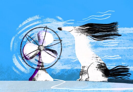 Fluffy Dog in Fan Breeze Motion