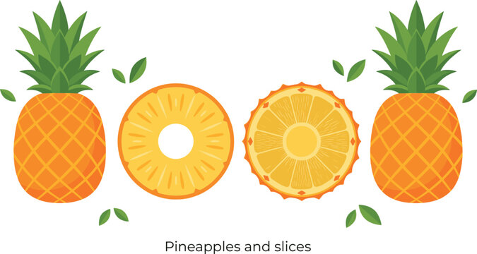 

Pineapples and Slices Set with Whole and Cut Tropical Fruit in Flat Style Fresh Summer Food Vector Illustration