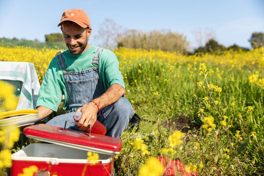 Man Opening Cooler In Flower Field