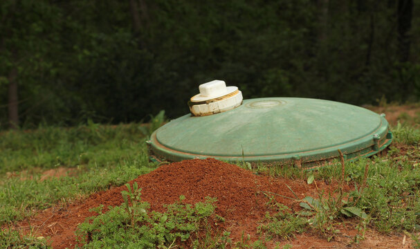 Aerobic Septic System With Ant Infestation