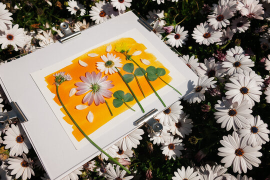 Botanic anthotype using turmeric powder