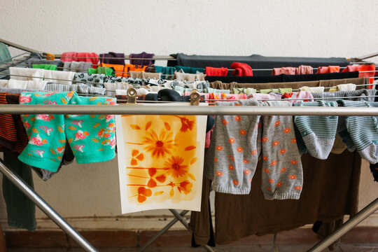 Anthotype Drying with clothes. Ecological photographic process
