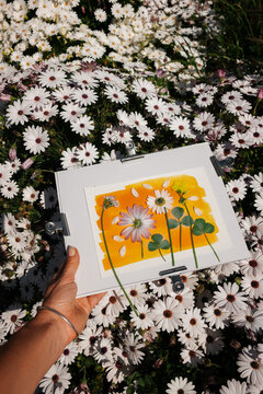 Botanic anthotype using turmeric powder
