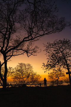 Person silhouette watching sunset over the ocean landscape
