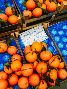 Sicilian vives