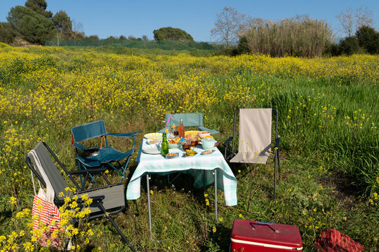 Picnic in Open Field With Food and Chairs Under Clear Sky