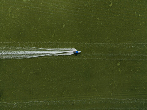 Single motorboat cutting across green water