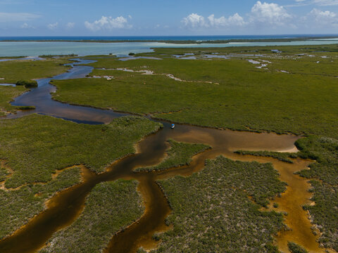 Boat in lagoon channel near coastal wetland