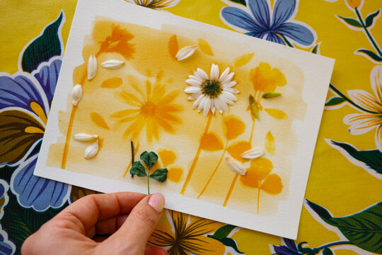 Botanic anthotype using turmeric powder