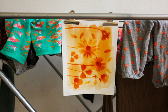 Anthotype Drying with clothes. Ecological photographic process