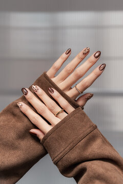 Brown Leopard Print Manicure