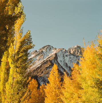 Eastern Sierra