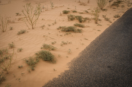 California Highway 78, The Ben Hulse Highway, winds through the Imperial Sand Dunes, or Algodones Dunes, in southeast California.  USA.