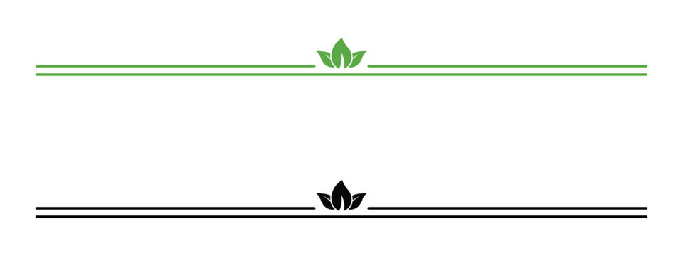 Elegant floral leaf horizontal divider border. Minimalist green and black decorative ornament for wedding invitations, stationery, certificates. Vector illustration and transparent PNG