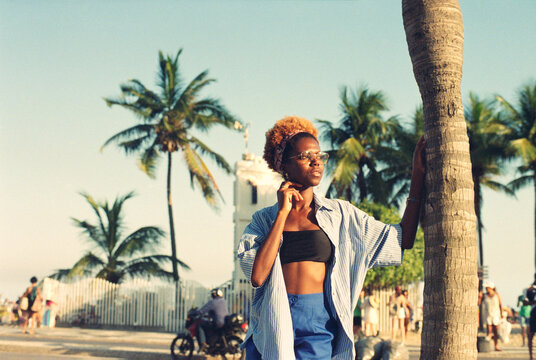 Sunlit Palm Tree Portrait