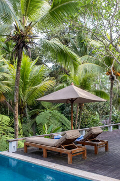 Sun loungers by tropical pool surrounded by lush palm trees