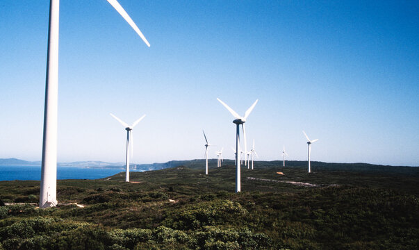 Wind Turbines Stand Tall on a Hill by the Ocean in Albany, WA