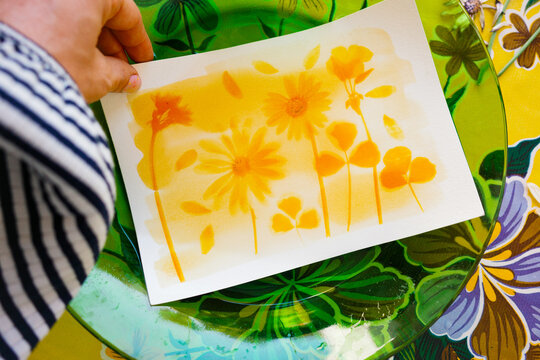 Botanic anthotype using turmeric powder