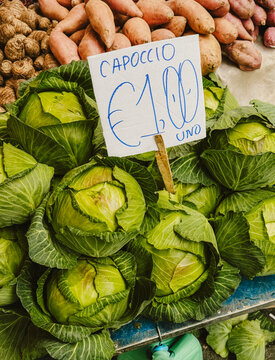 Sicilian vives
