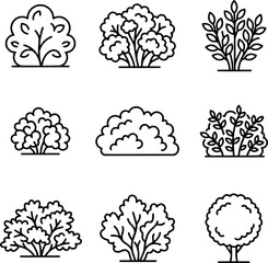 Fototapeta premium Set of Bush and Shrub Icons: Line Art Plant Illustrations for Garden and Nature Design