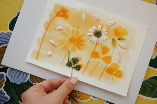 Botanic anthotype using turmeric powder